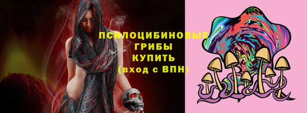 круглые Алзамай