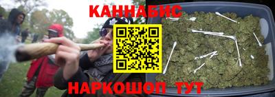 крисы Усть-Илимск