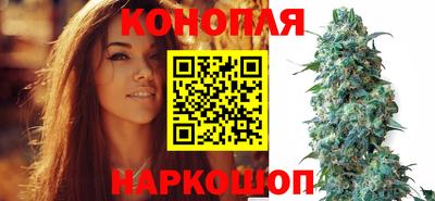 крисы Усть-Илимск