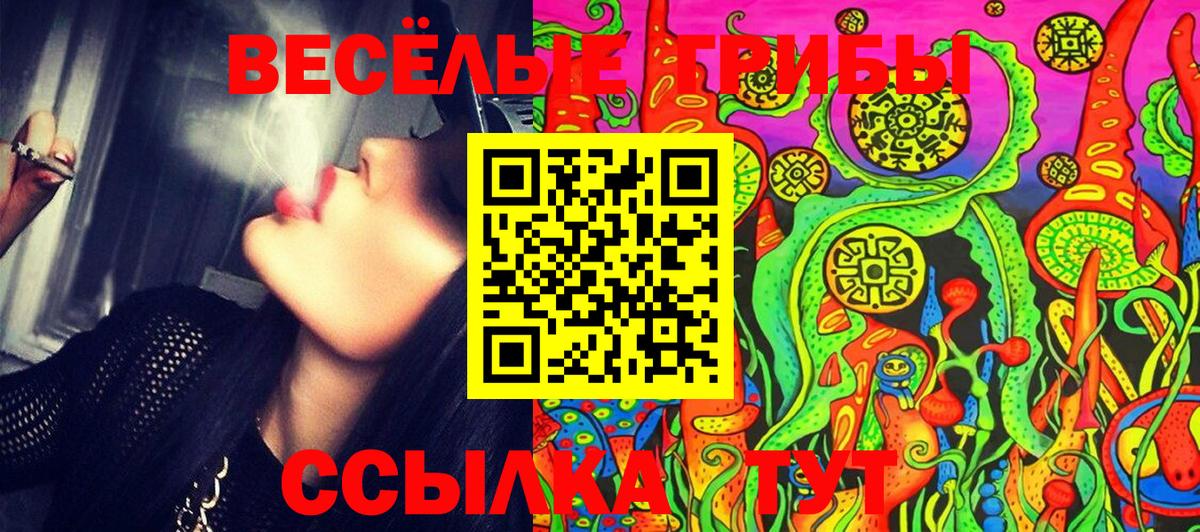 Псилоцибиновые грибы ЛСД Алексеевка