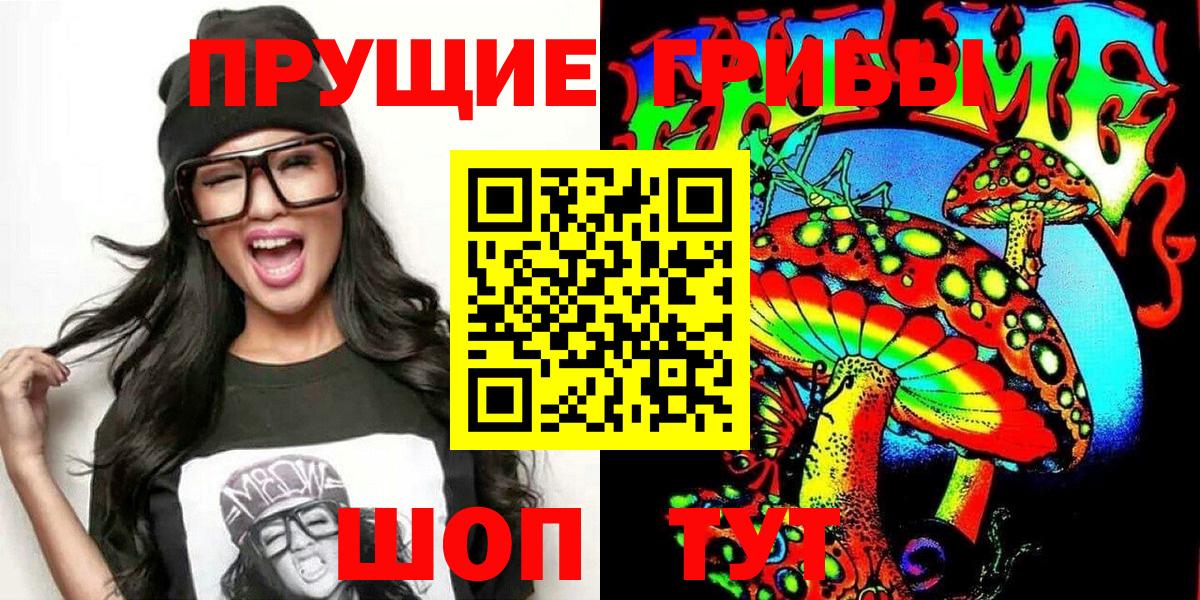 Алексеевка  где можно купить наркотик  Вход с VPN  Галлюциногенные грибы Magic Shrooms 