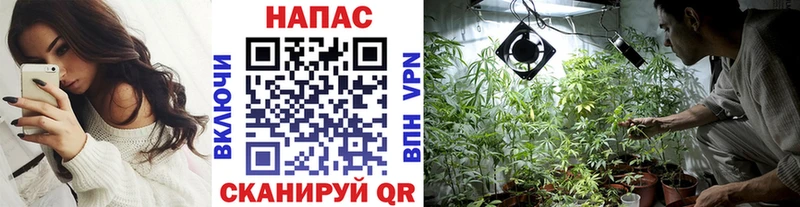 цены наркотик  Алексеевка  Каннабис конопля 